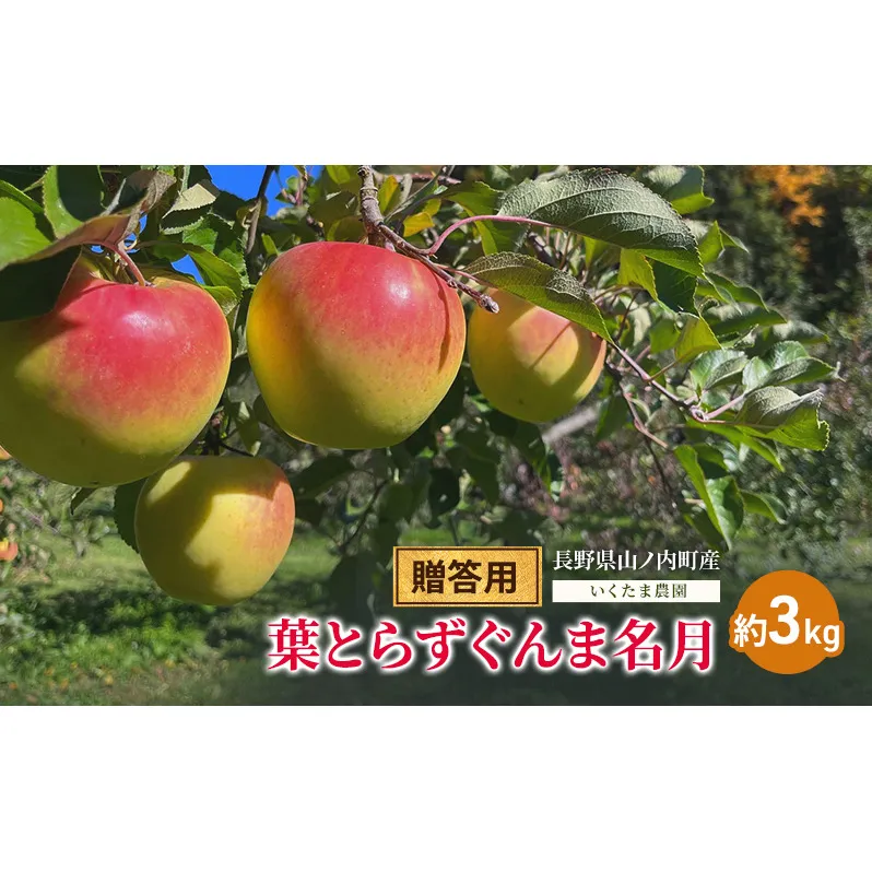 【贈答用】葉とらずぐんま名月　約3kg リンゴ りんご フルーツ 果物 お取り寄せ 長野県 山ノ内町