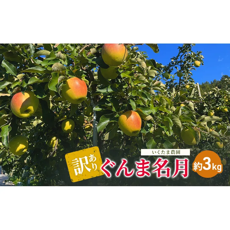 【訳あり】ぐんま名月　約3kg リンゴ りんご フルーツ 果物 お取り寄せ 長野県 山ノ内町