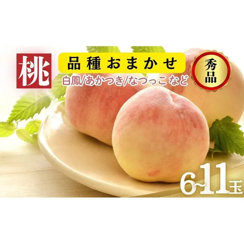 品種おまかせ（白鳳、あかつき、なつっこなど）秀品 約3kg 6～11玉 桃 もも 果物 信州 長野