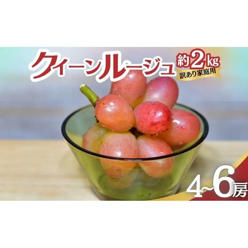 クイーンルージュ 訳あり家庭用 約2kg4～6房 ぶどう 葡萄 果物 信州 長野