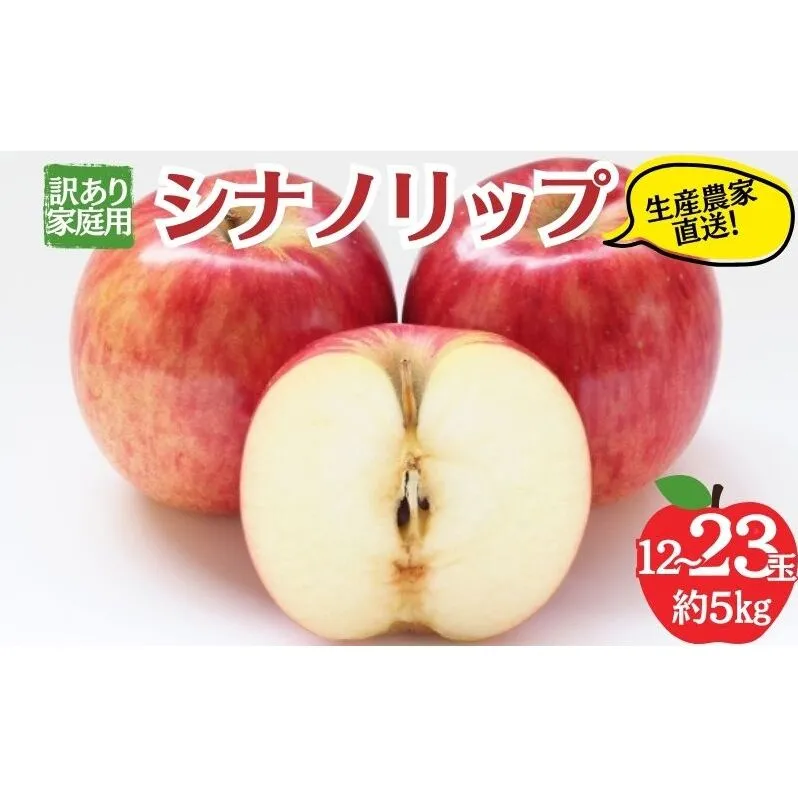 シナノリップ 訳あり家庭用 約5kg 12～23玉 りんご 果物 訳あり 信州 長野