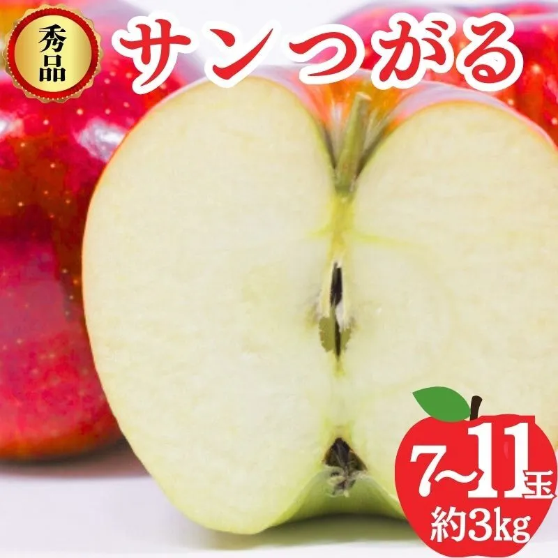サンつがる 秀品 約3kg 7～11玉 りんご 果物 信州 長野