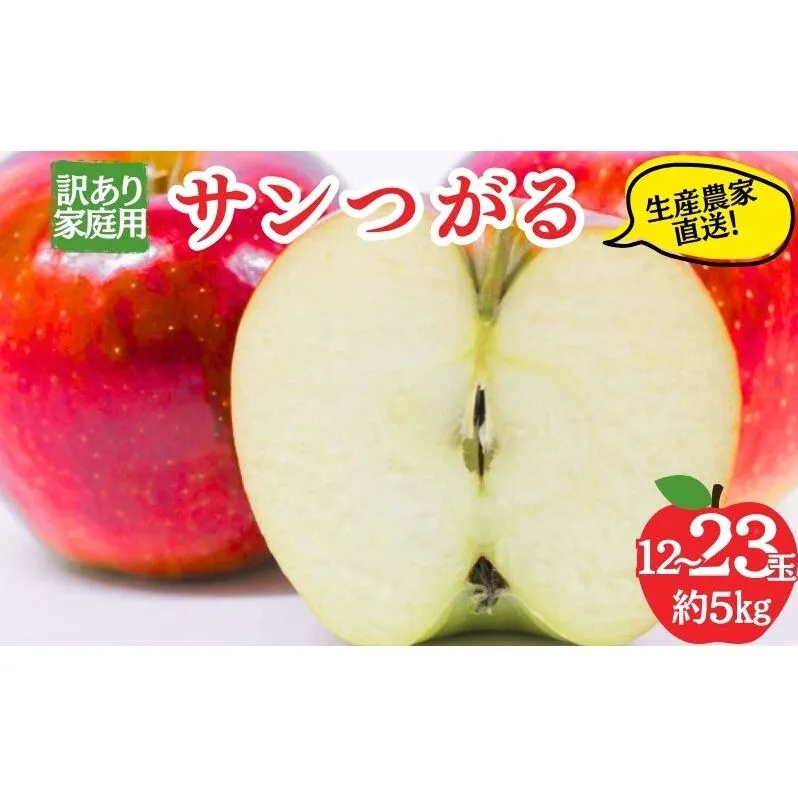 サンつがる 訳あり家庭用 約5kg 12～23玉 りんご 果物 訳あり 信州 長野