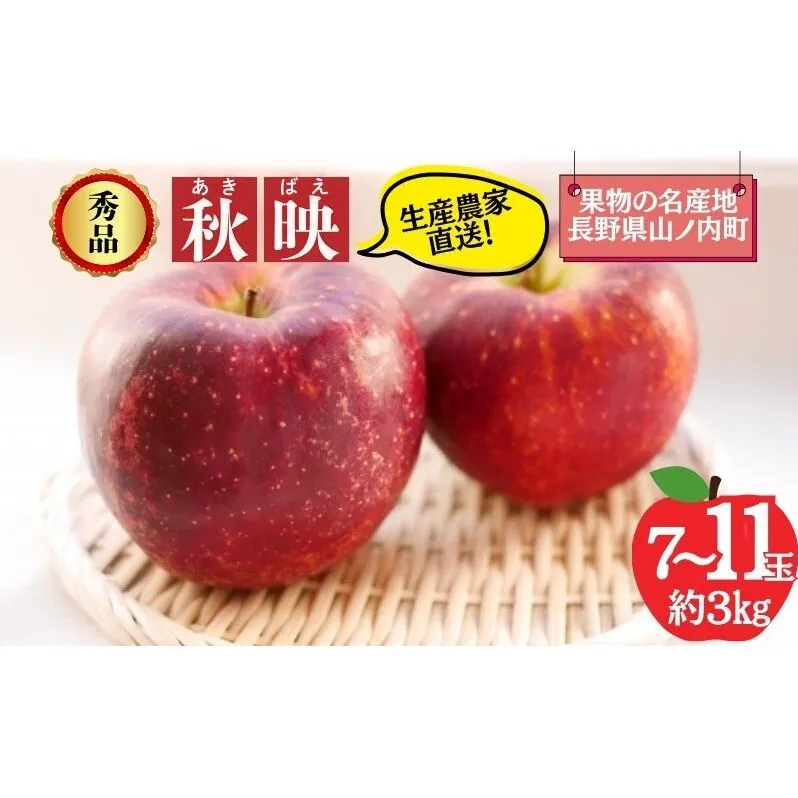 秋映 秀品 約3kg 7～11玉 りんご 果物 信州 長野
