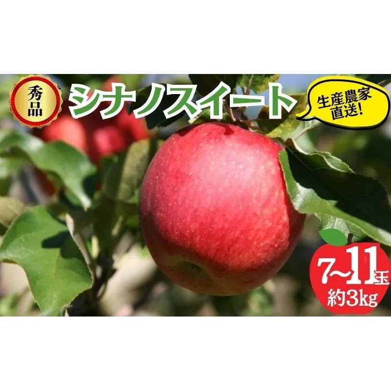 シナノスイート 秀品 約3kg 7～11玉 りんご 果物 信州 長野
