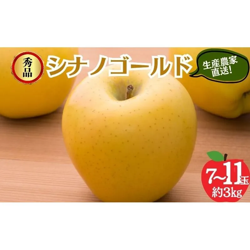 シナノゴールド 秀品 約3kg 7～11玉 りんご 果物 信州 長野