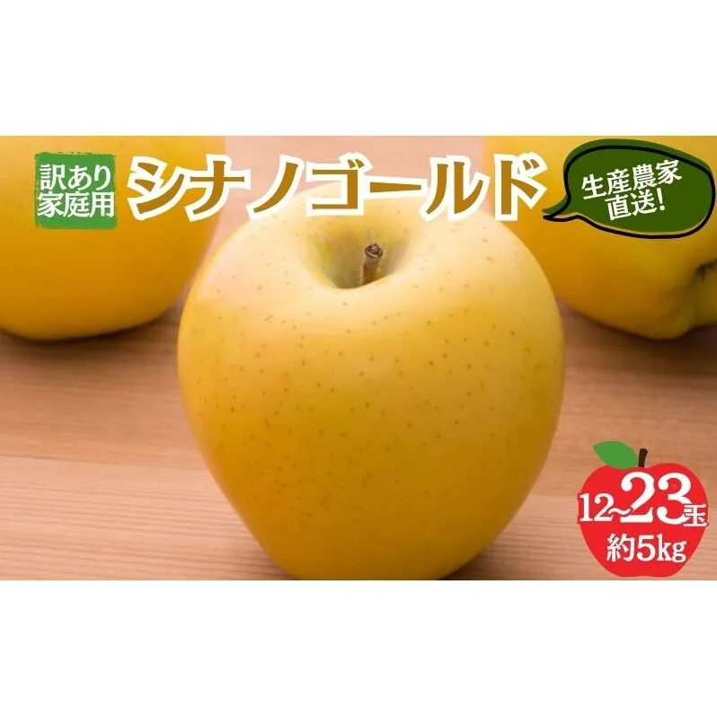 シナノゴールド 訳あり家庭用 約5kg 12～23玉 りんご 果物 訳あり 信州 長野