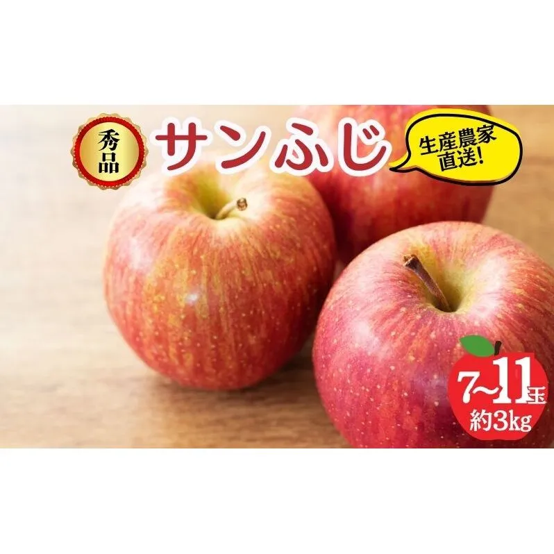 サンふじ 秀品 約3kg 7～11玉 りんご ふじ 果物 信州 長野