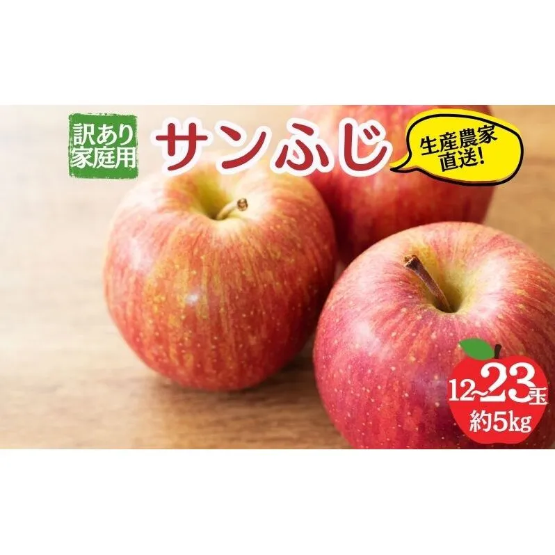 サンふじ 訳あり家庭用 約5kg 12～23玉 りんご 果物 訳あり 信州 長野