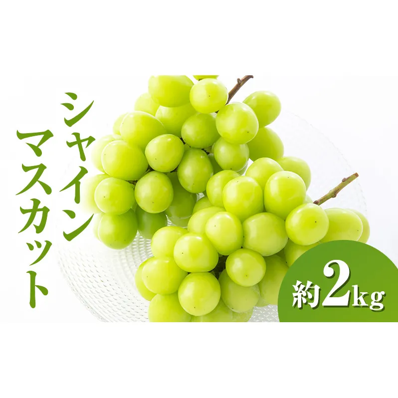 シャインマスカット約2kg 4～6房 長野県産