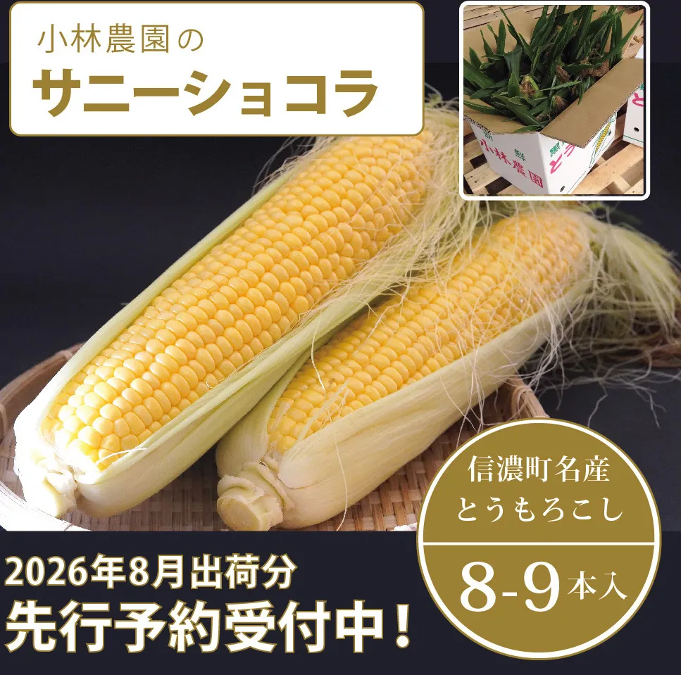  小林農園の信濃町産スイートコーン「サニーショコラ（8～9本セット）」令和8年8月上旬～出荷予定【2026年夏のご予約受付開始！】 生産者直送とうもろこし【長野県信濃町ふるさと納税】