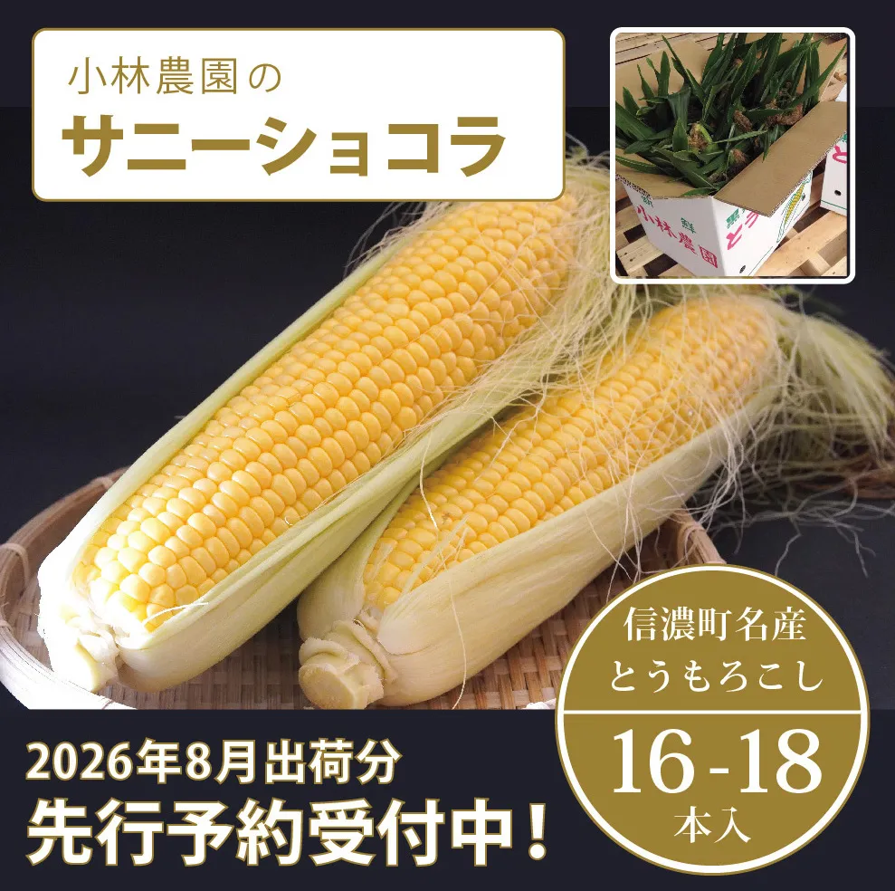 小林農園の信濃町産スイートコーン「サニーショコラ（16～18本セット）」令和8年8月上旬～出荷予定【2026年夏のご予約受付開始！】生産者直送とうもろこし【長野県信濃町ふるさと納税】　