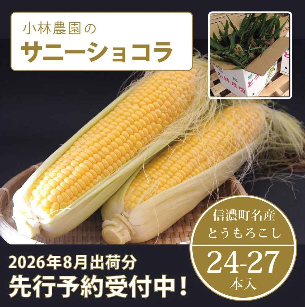  小林農園のスイートコーン「サニーショコラ（24～27本セット）」令和8年8月上旬出荷開始予定【2026年夏のご予約受付開始！】信濃町産生産者直送とうもろこし【長野県信濃町ふるさと納税】