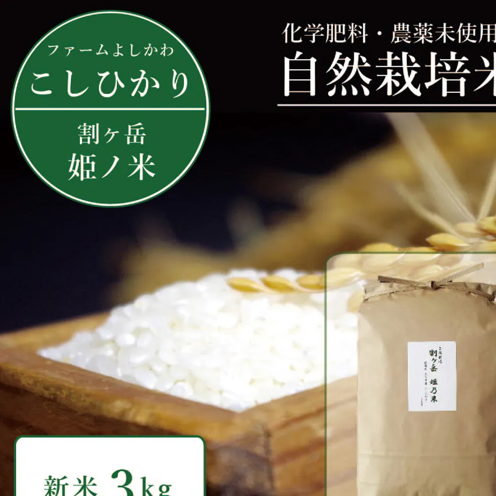 2025年収穫分、予約開始！信濃町産コシヒカリ「割ケ岳 姫乃米３kg」令和7年秋出荷の新米 ｜ 農薬未使用の自然米 令和7年産【長野県信濃町ふるさと納税】