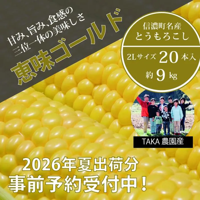 2026年夏の早期予約受付開始！TAKA農園『恵味（めぐみ）ゴールド』2Lサイズ（1本450ｇ相当）×20本セット、約9kg｜生でも食べられる信濃町名産とうもろこし／スイートコーンの人気品種 令和8年7月下旬～8月下旬に出荷予定 【長野県信濃町ふるさと納税】