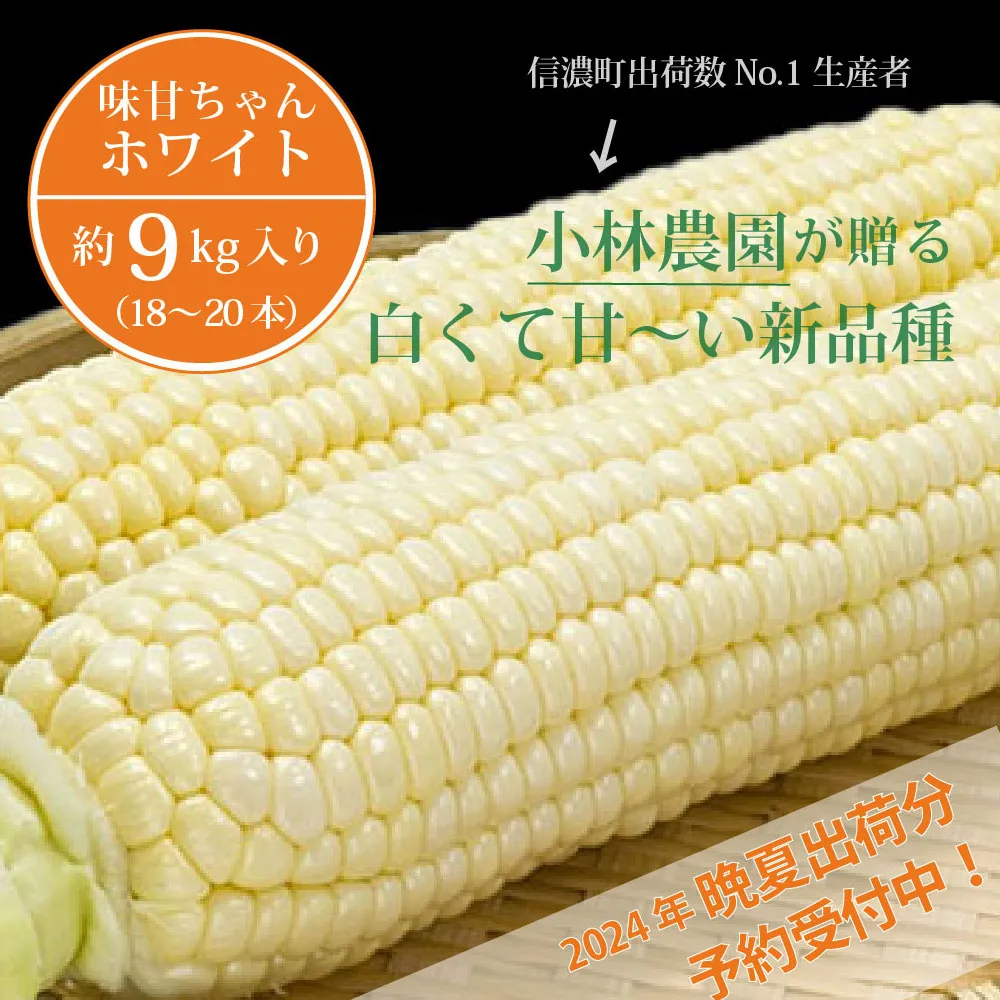 【9月上旬～9月下旬出荷】小林農園の白くて甘いとうもろこし『味甘ちゃんホワイト（みかんちゃんほわいと）』約9kg入り（18～20本セット）／スイートコーン注目品種を予約受付中！ 【長野県信濃町ふるさと納税】