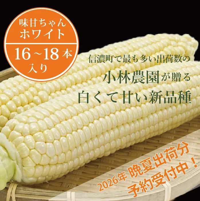 2026年夏の予約受付開始！小林農園の白くて甘いとうもろこし『味甘ちゃんホワイト（みかんちゃんほわいと）』16～18本入り（約9kgセット）令和8年9月～出荷予定【長野県信濃町ふるさと納税】