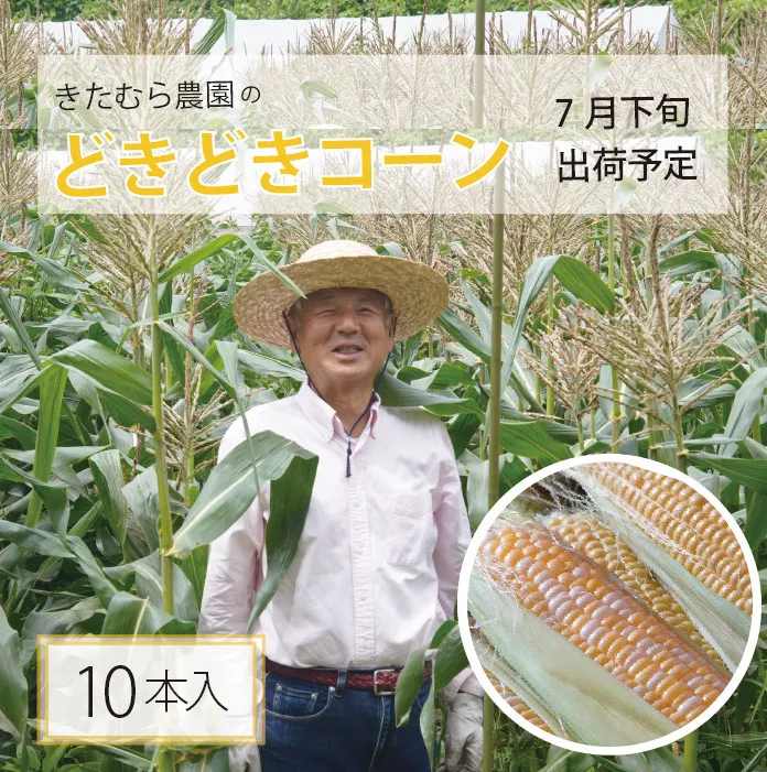 きたむら農園『どきどきコーン』×10本セット（約4～4.2kg相当）2025年夏分のご予約受付開始！　信濃町名産とうもろこし／スイートコーンの定番品種、予約受付中！ 令和7年7月下旬～8月下旬に随時出荷 先行予約【長野県信濃町ふるさと納税】