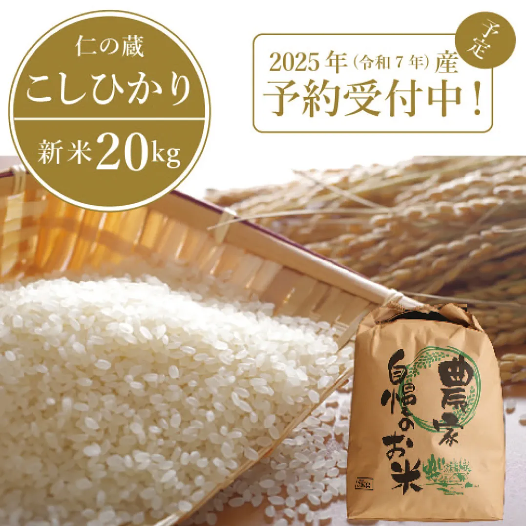 2025年収穫分、予約開始！ 仁の蔵の「信濃町産 こしひかり20kg」令和7年産 名水弘法清水が湧き出る黒姫山麓で育った自慢のお米 【長野県信濃町ふるさと納税】
