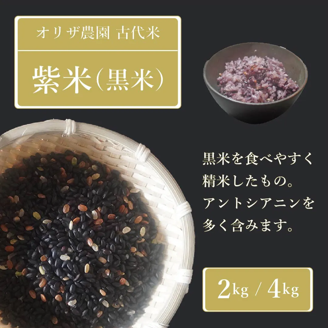 【ふるさと納税】オリザ農園 自然栽培の古代米「紫米(黒米)」2kg 炊き方も簡単、雑穀のように白米に混ぜるだけ 美味しく簡単に栄養をプラス【長野県信濃町】
