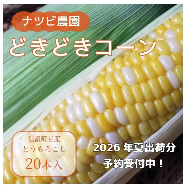 2026年夏の早期予約受付開始！ナツビ農園『どきどきコーン』20本セット（約9kg相当）生でも食べられる信濃町名産とうもろこし／白と黄色のバイカラー品種 令和8年7月下旬～8月下旬に出荷予定【長野県信濃町ふるさと納税】