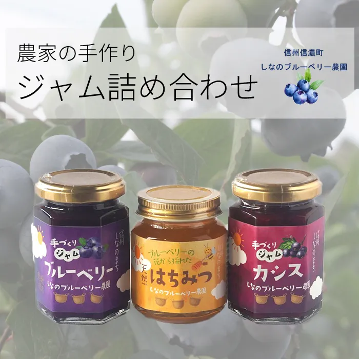 しなのブルーベリー農園「信濃町産ジャム詰め合わせ」 ブルーベリージャム150g、カシスジャム150g、ブルーベリーの花の非加熱はちみつ160gの3個セット【長野県信濃町】