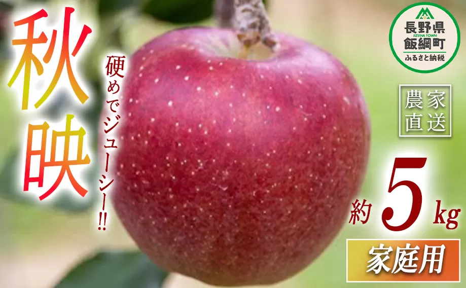 りんご 秋映 家庭用 5kg 丸山りんご園 沖縄県への配送不可 2025年10月上旬頃から2025年10月下旬頃まで順次発送予定 令和7年度収穫分 信州 果物 フルーツ リンゴ 林檎 長野 12000円 予約 農家直送 長野県 飯綱町 [0707]