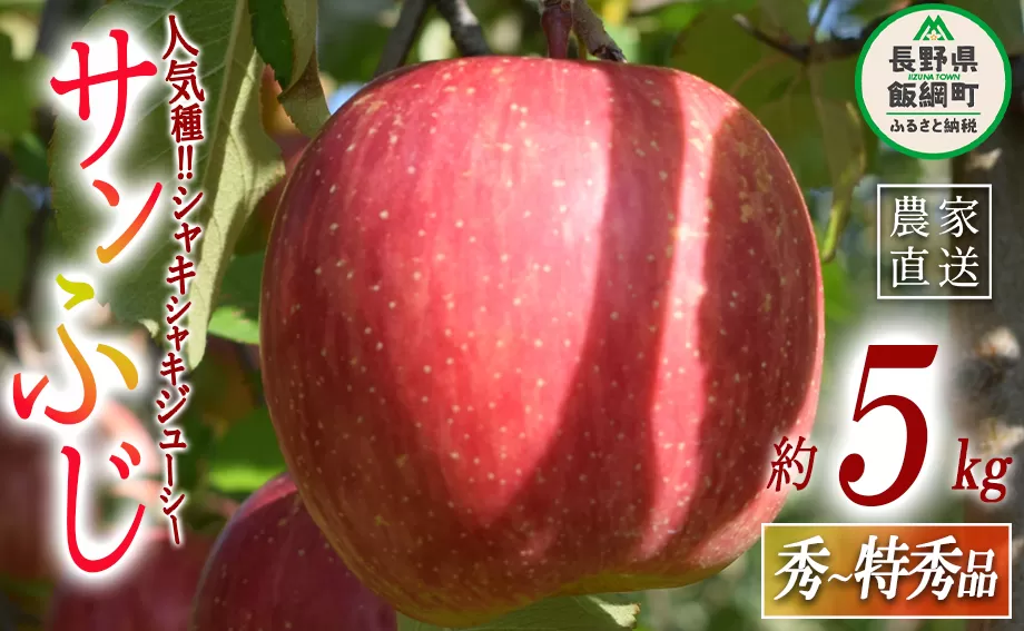 りんご サンふじ 秀  特秀 5kg 丸山りんご園 沖縄県への配送不可 2025年12月上旬頃から2026年1月上旬頃まで順次発送予定 令和7年度収穫分 信州 果物 フルーツ リンゴ 林檎 長野 16000円 予約 農家直送 長野県 飯綱町 [0264]
