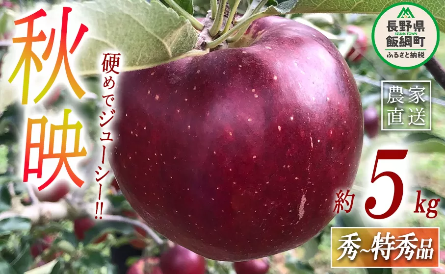 りんご 秋映 秀 〜 特秀 5kg 丸西農園 沖縄県への配送不可 2025年10月上旬頃から2025年10月中旬頃まで順次発送予定 令和7年度収穫分 特別栽培農産物 ( 除草剤 化学肥料 不使用 ) 信州 果物 フルーツ リンゴ 林檎 長野 15500円 予約 農家直送 長野県 飯綱町 [0506]