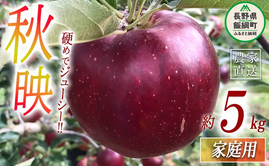 りんご 秋映 家庭用 5kg 丸西農園 沖縄県への配送不可 2025年10月上旬頃から2025年10月中旬頃まで順次発送予定 令和7年度収穫分 特別栽培農産物 ( 除草剤 化学肥料 不使用 ) 信州 果物 フルーツ リンゴ 林檎 長野 13000円 予約 農家直送 長野県 飯綱町 [0724]