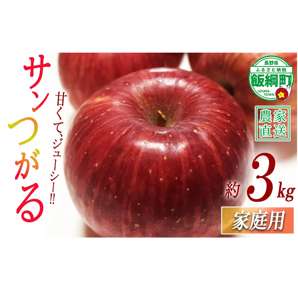 りんご サンつがる 家庭用 3kg 沖縄県への配送不可 2026年9月上旬から2026年9月中旬頃まで順次発送予定 令和8年度収穫分 静谷りんご園 減農薬栽培 信州の環境にやさしい農産物認証 長野県 飯綱町 [1313]
