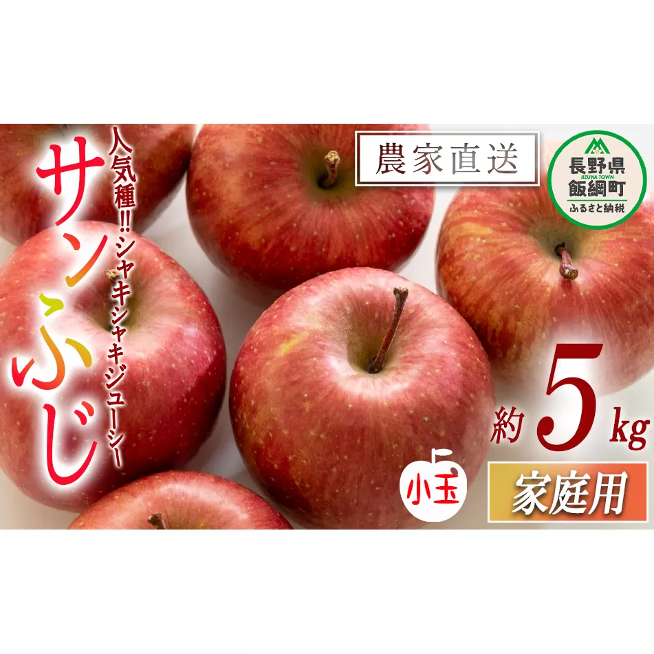 りんご サンふじ ( 小玉 ) 家庭用 5kg 沖縄県への配送不可 2024年12月中旬頃から2024年12月下旬まで順次発送予定 令和5度収穫分 静谷りんご園 信州の環境にやさしい農産物認証 減農薬栽培 長野県 飯綱町 [1289]