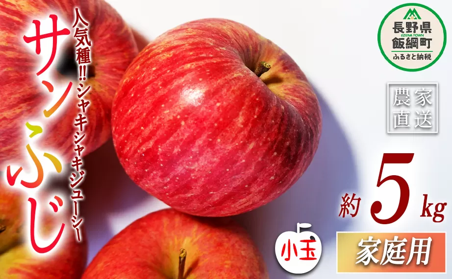 りんご サンふじ 家庭用 ( 小玉 ) 5kg 丸山りんご園 沖縄県への配送不可 2025年12月上旬頃から2026年1月上旬頃まで順次発送予定 令和7年度収穫分 信州 果物 フルーツ リンゴ 林檎 長野 11000円 予約 農家直送 長野県 飯綱町 [1004]