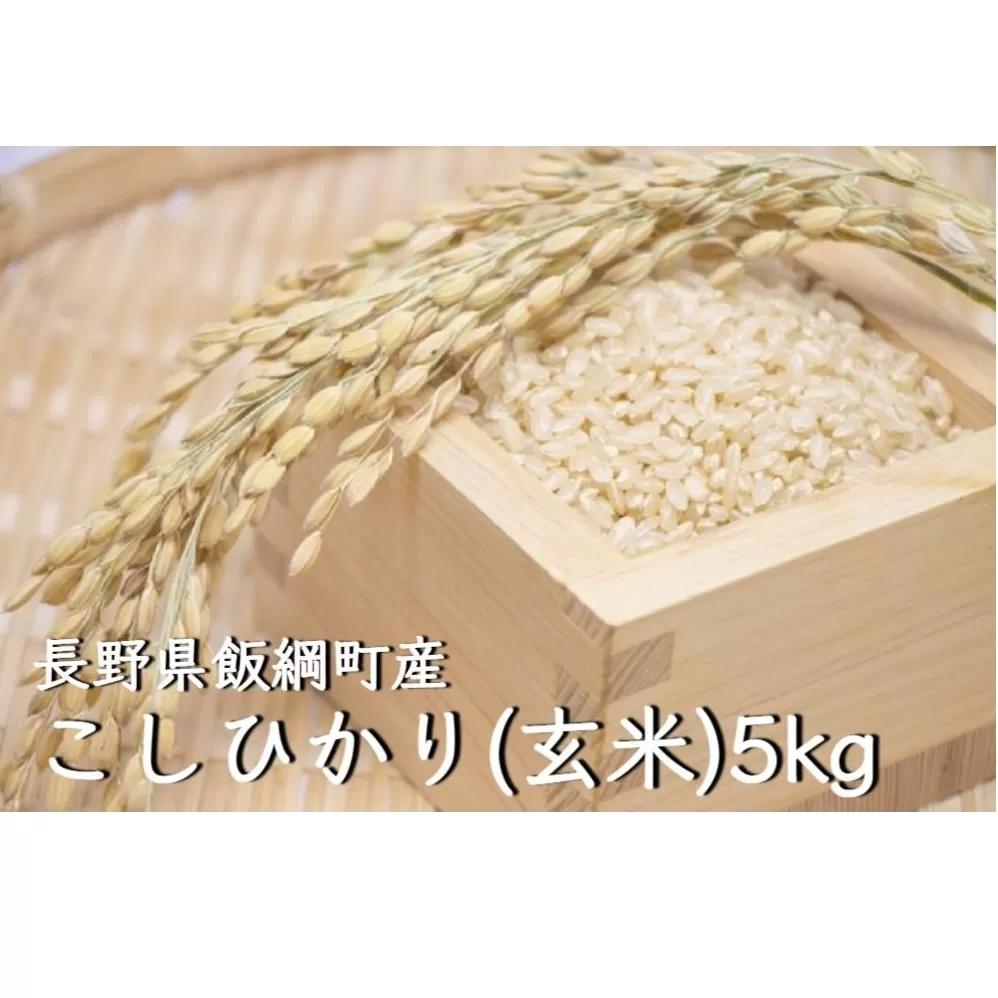 【令和6年度収穫分】コシヒカリ 5kg【玄米】 ※沖縄および離島への配送不可　※2024年10月上旬頃から順次発送予定　町田さんちの玄米　長野県飯綱町[1343]