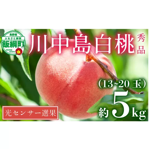 桃 5kg 先行予約 2025年 川中島白桃 秀品 光センサー 【 予約 白桃 果物 くだもの フルーツ もも 長野 信州 26000円 26000 令和7年度 糖度保証 】 発送：2025年8月下旬2025年9月中旬 沖縄県への配送不可 日時指定および不在指定不可 長野県 飯綱町 [0054]