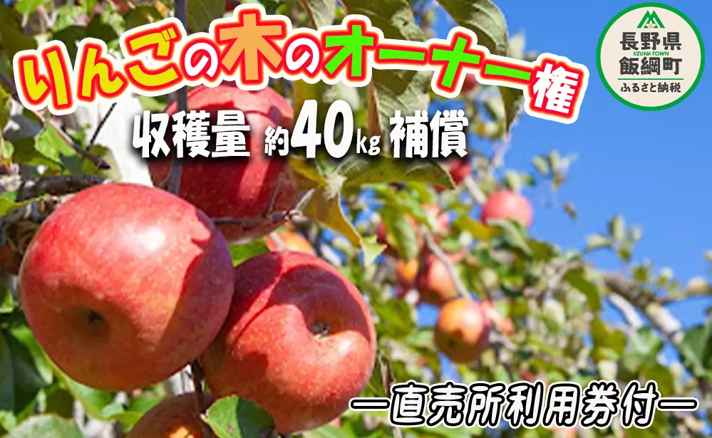 りんごの木オーナー ＜ サンふじの木 ＞ 家庭用 ～ 特秀 約 40kg 補償 直売所利用券つき ネコポスでお届け 収穫期間：2024年11月中旬～2024年12月初旬 令和6年度収穫分 サンふじ りんごの木 オーナー 収穫 体験 林檎 リンゴ りんご 信州 長野県 飯綱町 [0718]
