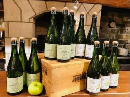 [0940]サンクゼール　飯綱シードル 12本セット【高坂・ふじ 750mL×6本】【ブラムリー・ふじ 750mL×6本】 長野県飯綱町