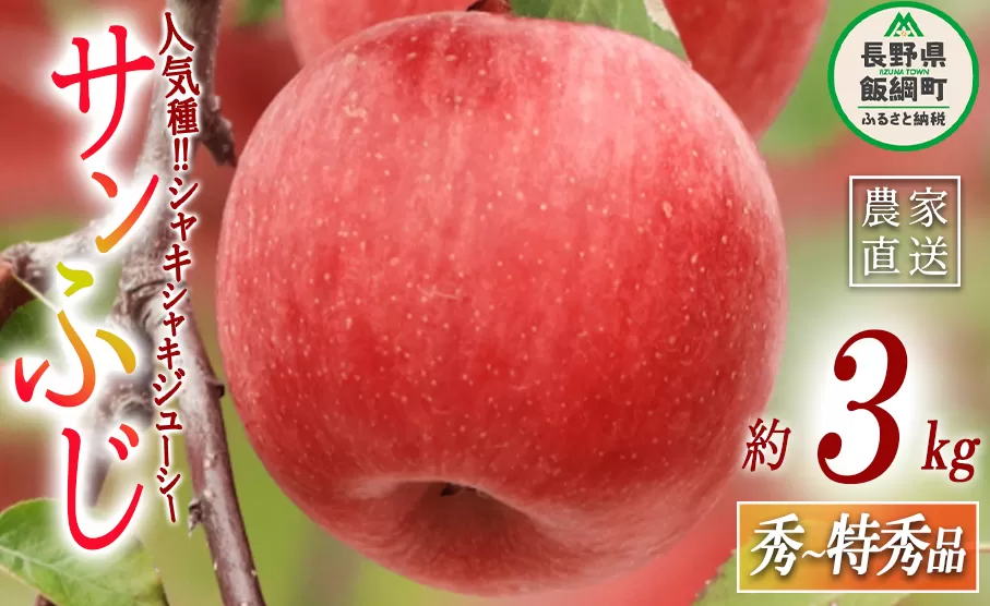 りんご サンふじ 秀  特秀 3kg ITO果樹園 沖縄県への配送不可 2023年11月下旬頃から2023年12月下旬頃まで順次発送予定 令和5年度収穫分 信州の環境にやさしい農産物認証 信州 果物 フルーツ リンゴ 林檎 長野 15000円 予約 農家直送 長野県 飯綱町 [0386]