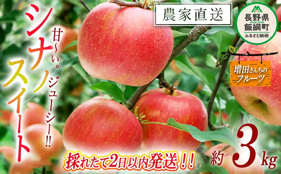 りんご シナノスイート 家庭用 3kg 採れたてを発送 増田ファーム 沖縄県への配送不可 2025年10月上旬頃から2025年11月上旬頃まで順次発送予定 令和7年度収穫分 信州 果物 フルーツ リンゴ 林檎 長野 予約 農家直送 長野県 飯綱町 [0819]