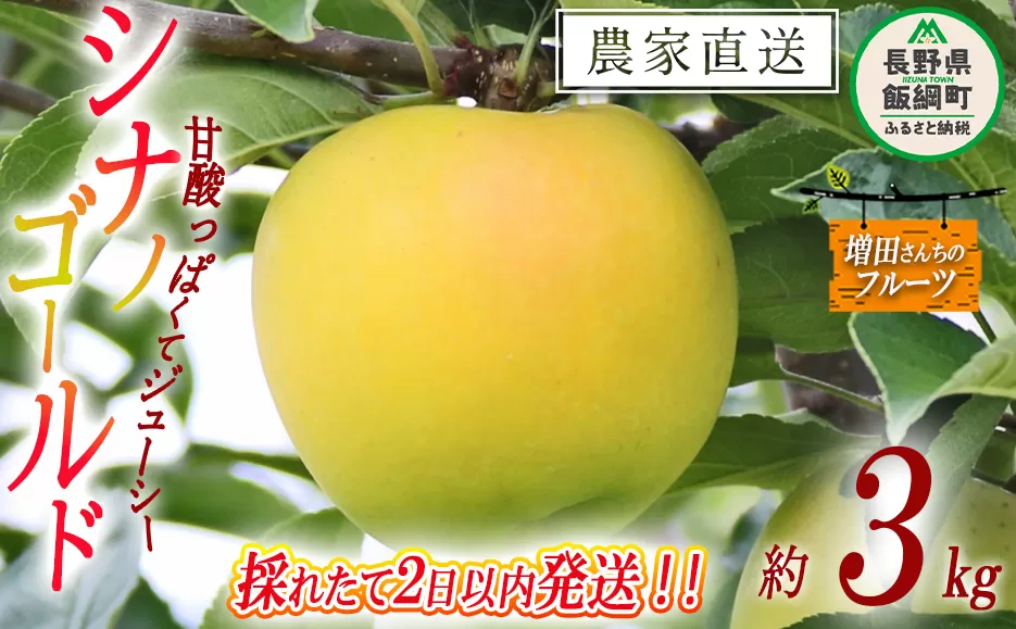 【 採れたて発送 】 りんご シナノゴールド 家庭用 3kg 採れたてを発送 増田ファーム 沖縄県への配送不可 2025年11月上旬頃から2025年11月下旬頃まで順次発送予定 令和7年度収穫分 信州 果物 フルーツ リンゴ 林檎 長野 予約 農家直送 長野県 飯綱町 [0596]