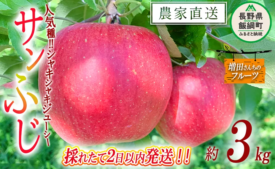【 採れたてを発送 】りんご サンふじ 家庭用 3kg 採れたてを発送 増田ファーム 沖縄県への配送不可 2025年11月下旬頃から2025年12月上旬頃まで順次発送予定 令和7年度収穫分 信州 果物 フルーツ リンゴ 林檎 長野 予約 農家直送 長野県 飯綱町 [0572]