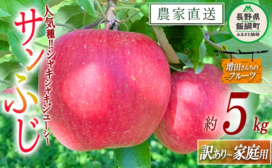 りんご サンふじ 家庭用 〜 訳あり 5kg 増田ファーム 沖縄県への配送不可 2025年12月上旬頃から2026年2月上旬頃まで順次発送予定 令和7年度収穫分 信州 果物 フルーツ リンゴ 林檎 長野 予約 農家直送 長野県 飯綱町 [0564]