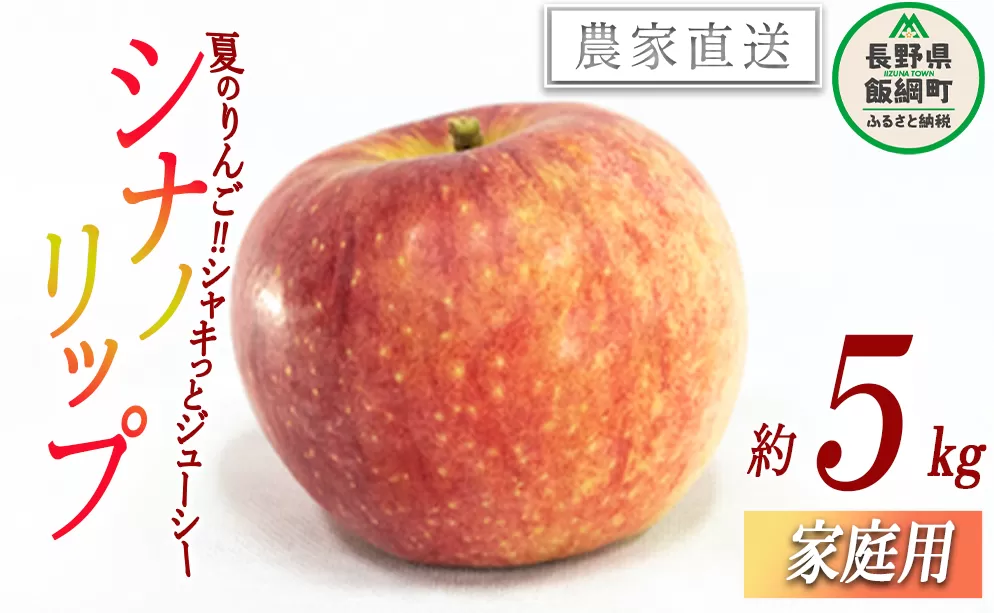 りんご 暑さに負けないシナノリップ 家庭用 5kg 大友農場 エコファーマー認定 沖縄県への配送不可 2025年8月中旬頃から2025年9月上旬頃まで順次発送予定 令和7年度収穫分 信州 果物 フルーツ リンゴ 林檎 長野 予約 農家直送 長野県 飯綱町 [1024]