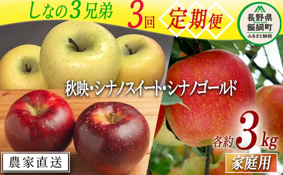旬のりんご しなの3兄弟 【 定期便 】 家庭用 3kg × 3回 大友農場 エコファーマー認定 沖縄県への配送不可 2025年10月上旬頃から2026年1月上旬頃まで順次発送予定 令和7年度収穫分 信州 果物 フルーツ リンゴ 林檎 長野 予約 農家直送 長野県 飯綱町 [1389]