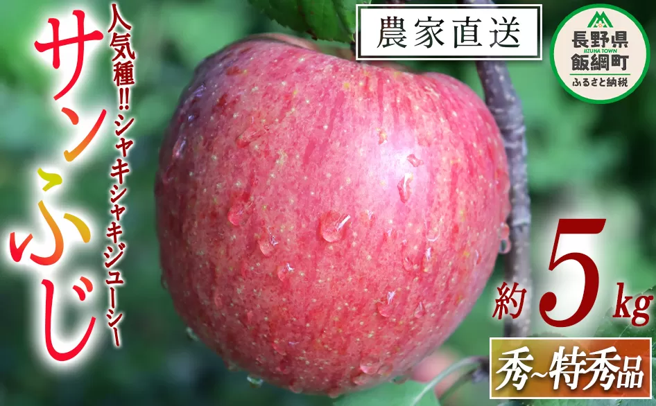 りんご サンふじ 秀 ～ 特秀 5kg 寺島農園 沖縄県への配送不可 2025年11月下旬頃から2026年2月上旬頃まで順次発送予定 令和7年度収穫分 信州 果物 フルーツ リンゴ 林檎 長野 予約 農家直送 長野県 飯綱町 [0313]
