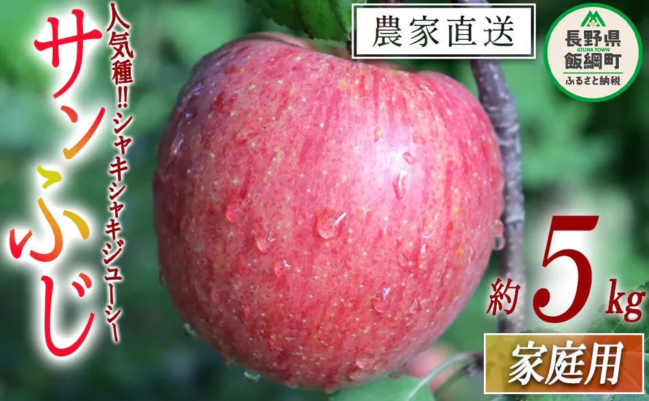 りんご サンふじ 家庭用 5kg 寺島農園 沖縄県への配送不可 2025年11月下旬頃から2026年2月上旬頃まで順次発送予定 令和7年度収穫分 信州 果物 フルーツ リンゴ 林檎 長野 予約 農家直送 長野県 飯綱町 [0770]