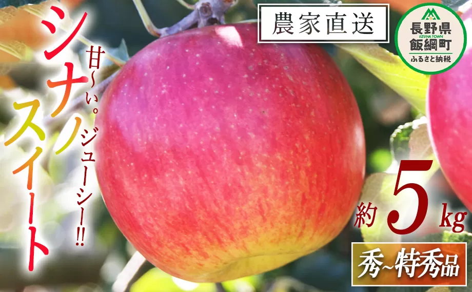 りんご シナノスイート 秀  特秀 5kg マルカズりんご農園 沖縄県への配送不可 2025年10月中旬頃から2025年10月下旬頃まで順次発送予定 令和7年度収穫分 信州 果物 フルーツ リンゴ 林檎 長野 16000円 予約 農家直送 長野県 飯綱町 [0990]