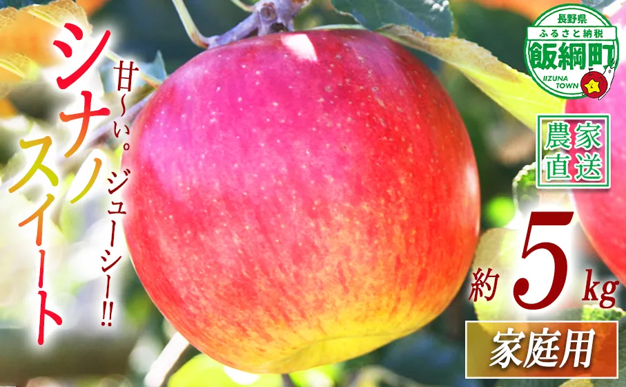 りんご シナノスイート 家庭用 5kg マルカズりんご農園 沖縄県への配送不可 2026年10月中旬頃から2026年10月下旬頃まで順次発送予定 令和8年度収穫分 信州 果物 フルーツ リンゴ 林檎 長野 予約 農家直送 長野県 飯綱町 [0991]