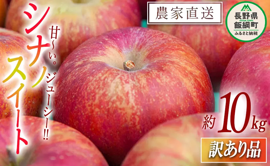 りんご シナノスイート 訳あり 10kg マルカズりんご農園 沖縄県への配送不可 2025年10月上旬頃から2025年10月下旬頃まで順次発送予定 令和7年度収穫分 傷 不揃い リンゴ 林檎 果物 フルーツ 信州 長野 18000円 予約 農家直送 長野県 飯綱町 [1391]