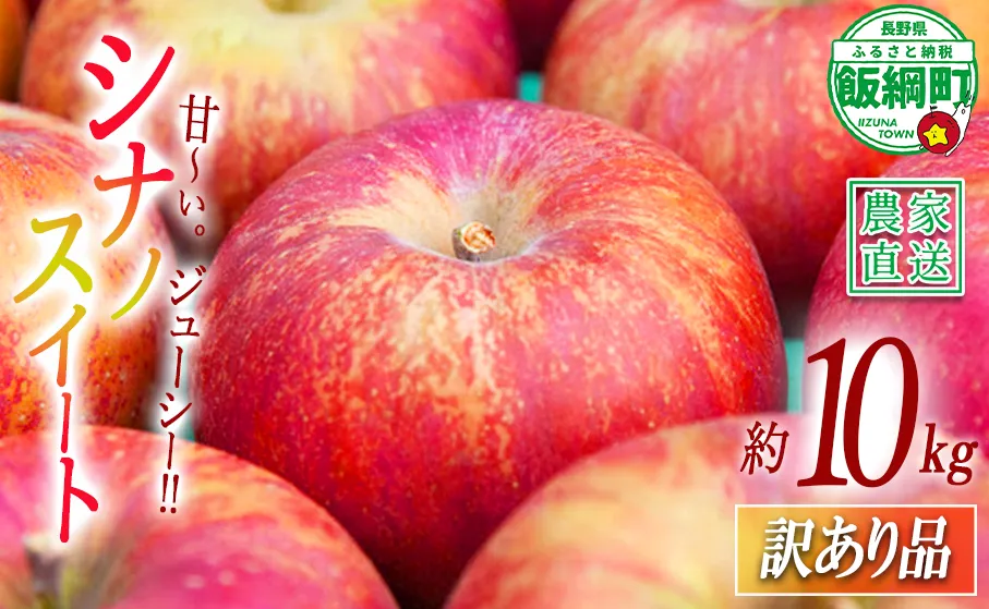 りんご シナノスイート 訳あり 10kg マルカズりんご農園 2026年10月上旬頃から2026年10月下旬頃まで順次発送予定 令和8年度収穫分 傷 不揃い リンゴ 林檎 果物 フルーツ 信州 長野 予約 農家直送 長野県 飯綱町 [1391]